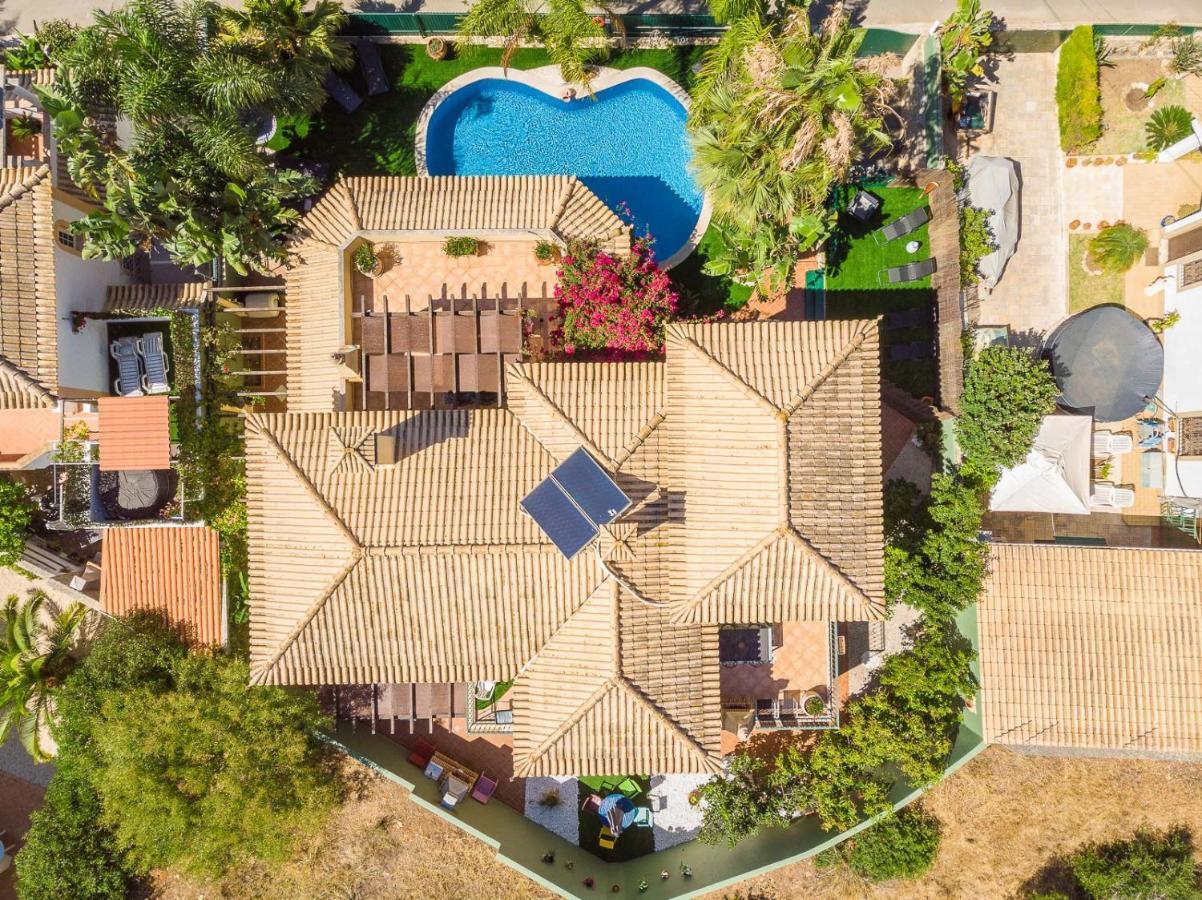 Ferienwohnung Oasis Tropical, Jardim E Piscina! Portimão Exterior foto